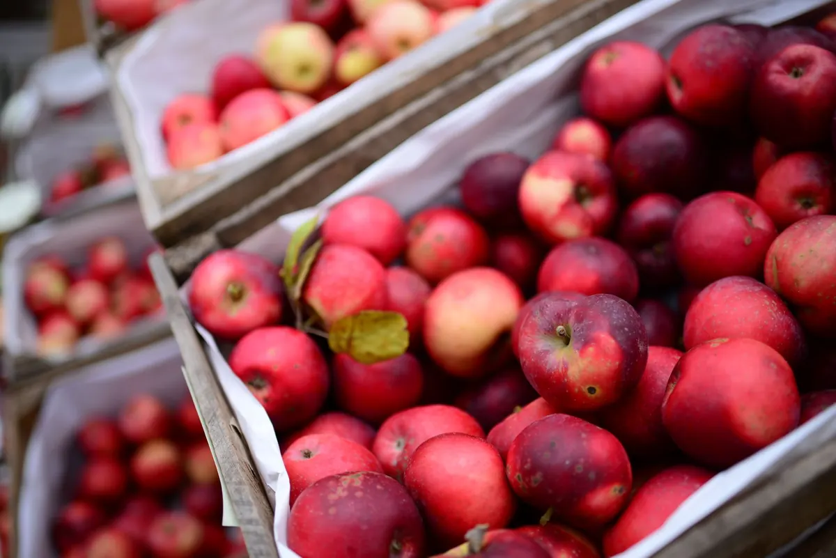 How to Store Apples So They Don't Ripen Other Fruit